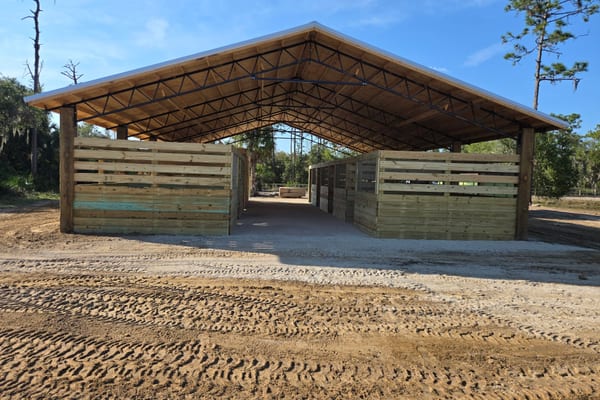 Horse shelter with metal roof